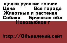 щенки русские гончие › Цена ­ 4 000 - Все города Животные и растения » Собаки   . Брянская обл.,Новозыбков г.